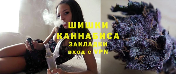 PSILOCYBIN Лабытнанги