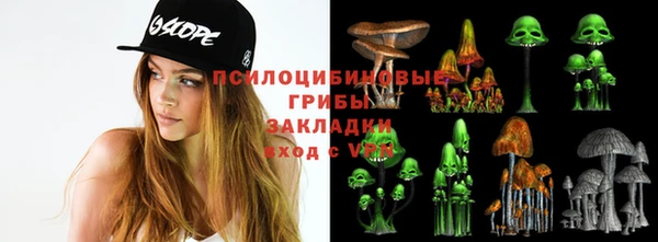 прущая мука Ладушкин