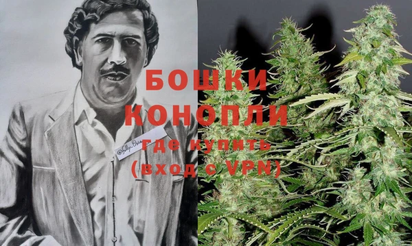 PSILOCYBIN Лабытнанги