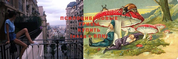 PSILOCYBIN Лабытнанги