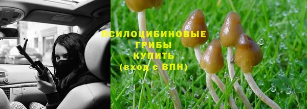 PSILOCYBIN Лабытнанги