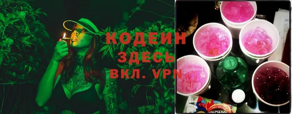 твердый Нестеровская