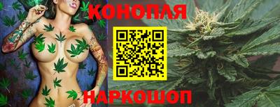 мет Камышлов